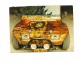 /album/aerografia/pintura-especial-buggy-jpg/